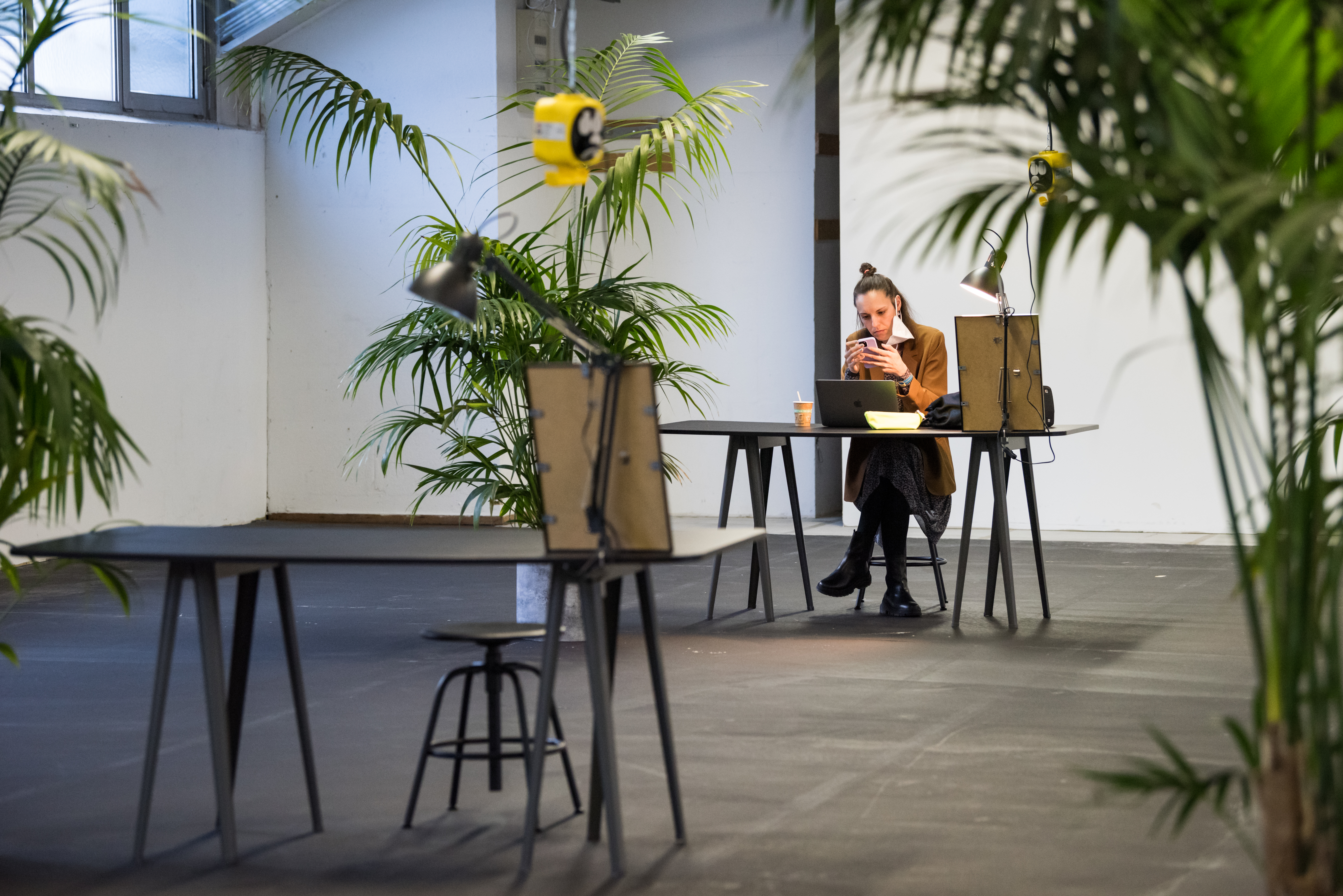 Copyright Laura Brichta 8649