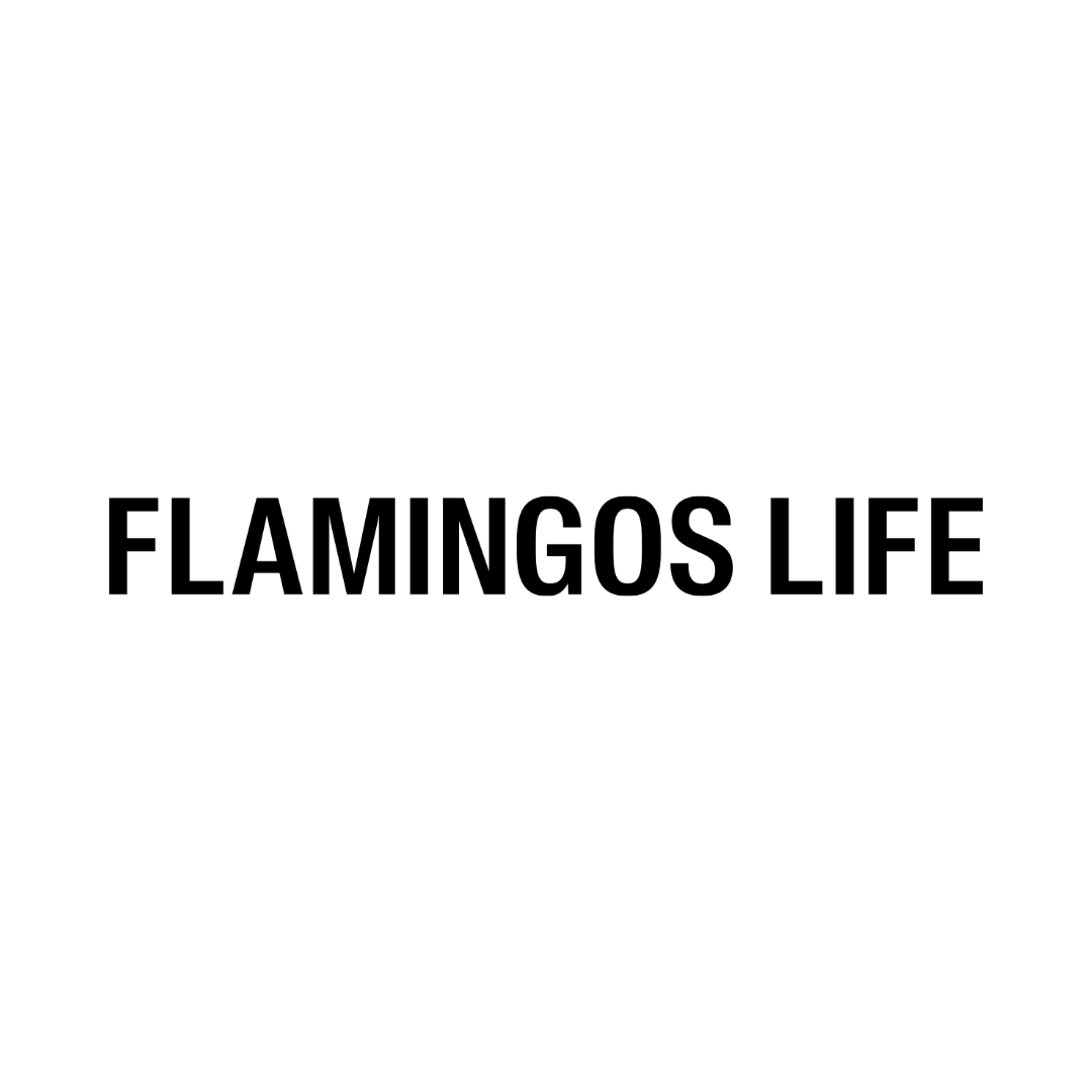 Flamingos life Logo